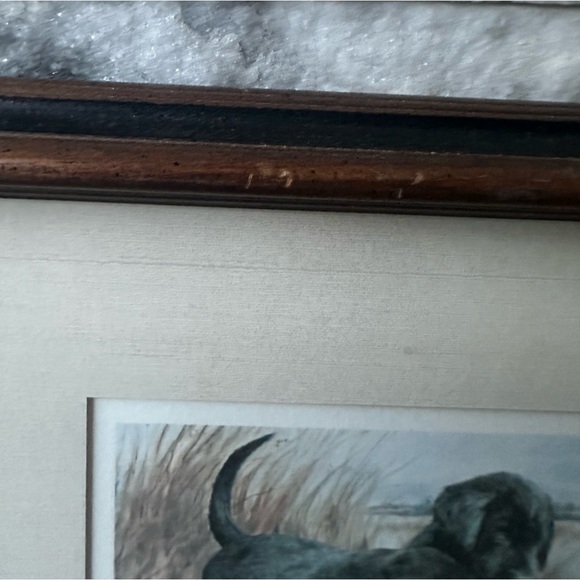 Vintage Tara Moore Lab Pups Framed Print 2 Labrador Puppies and water bug Signed - Picture 14 of 14